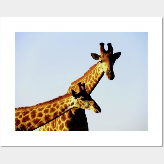 African Wildlife Photography Blue Sky Giraffe Wall Art by PathblazerStudios